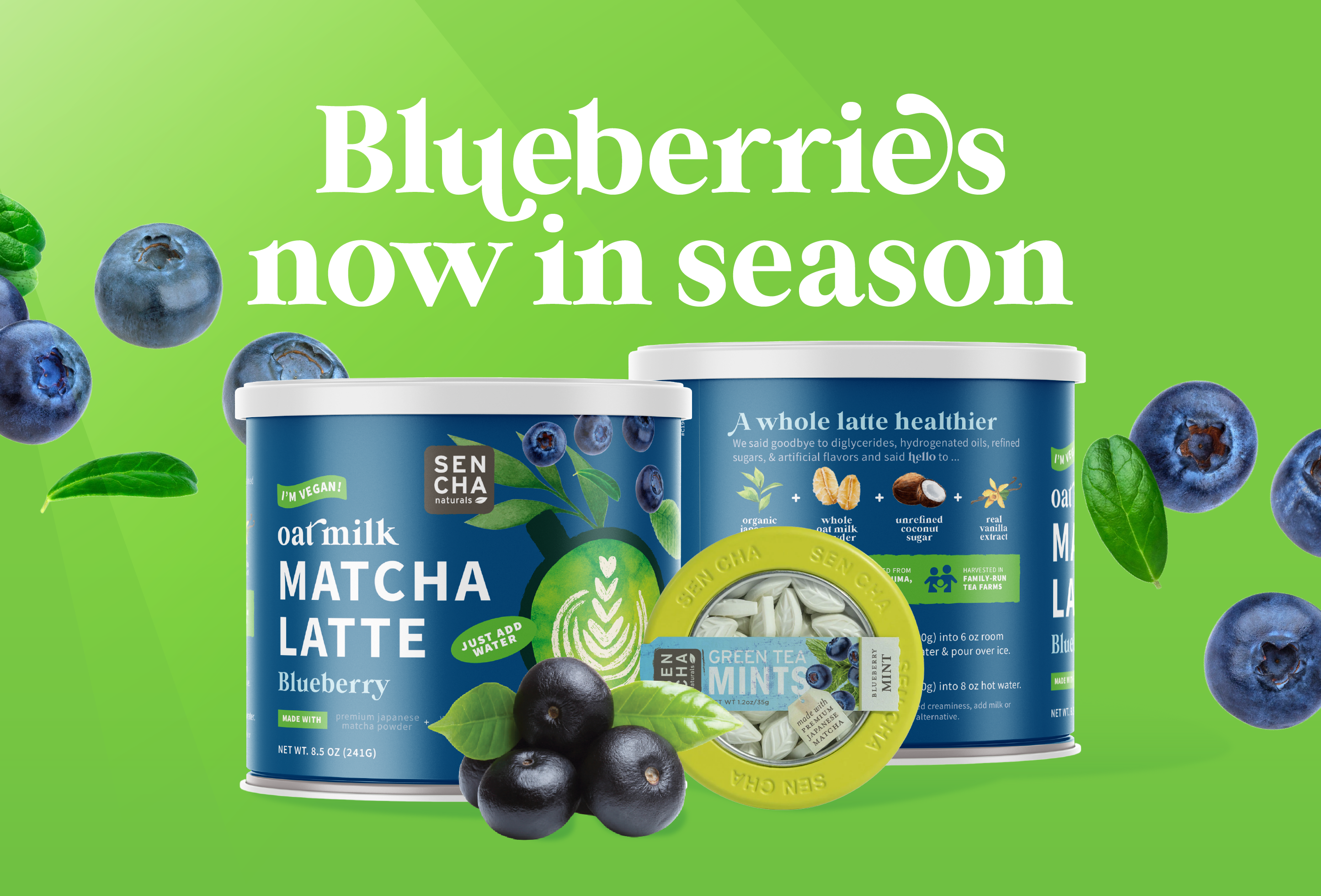 Blueberry is now in season Sencha Naturals