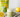 Lemon Matcha Poppy Seed Chia Pudding Oats