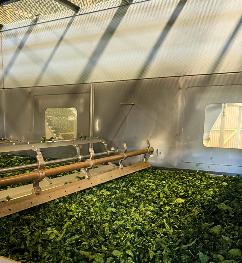 Matcha 101 – Sencha Naturals